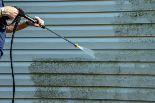 Best Pressure Washing Near Me  in Alamo, GA