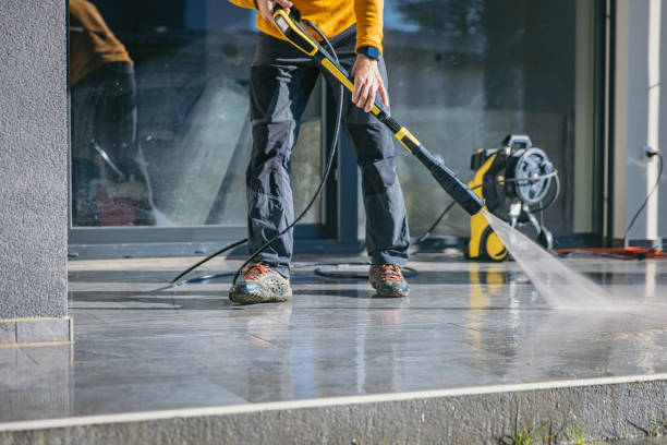 Best Roof Pressure Washing  in Alamo, GA