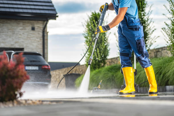 Best Local Pressure Washing Services  in Alamo, GA